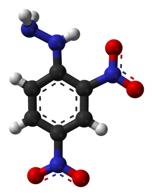 2,4-dinitrophenylhydrazine