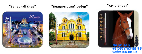 panorama1