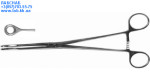 sh_55-2